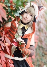 Cosplay-Cover: Kotori ~ Red Panda