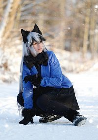 Cosplay-Cover: Silver Fox