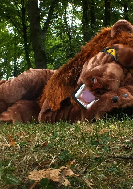 Cosplay-Cover: Aslan