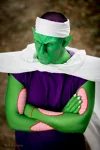 Foto des Kostüms