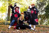 Top-3-Foto - von Bambusbesen