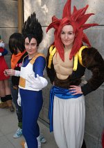 Cosplay-Cover: Vegeta