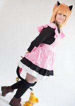 Cosplay-Cover: Sakura Kinomoto [Neko]