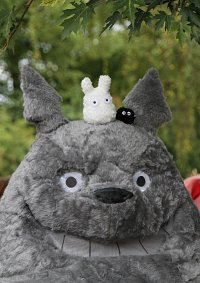 Cosplay-Cover: Totoro v.2 und v.3