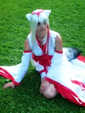 Top-3-Foto - von GreenZombie