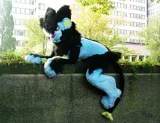 Top-3-Foto - von GreenZombie