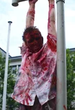 Top-3-Foto - von GreenZombie