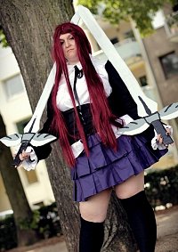 Cosplay-Cover: Erza (Miss Fairy Tail Contest)