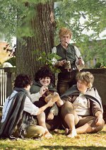 Cosplay-Cover: Samwise Gamgee