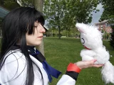 Top-3-Foto - von BlackLioness