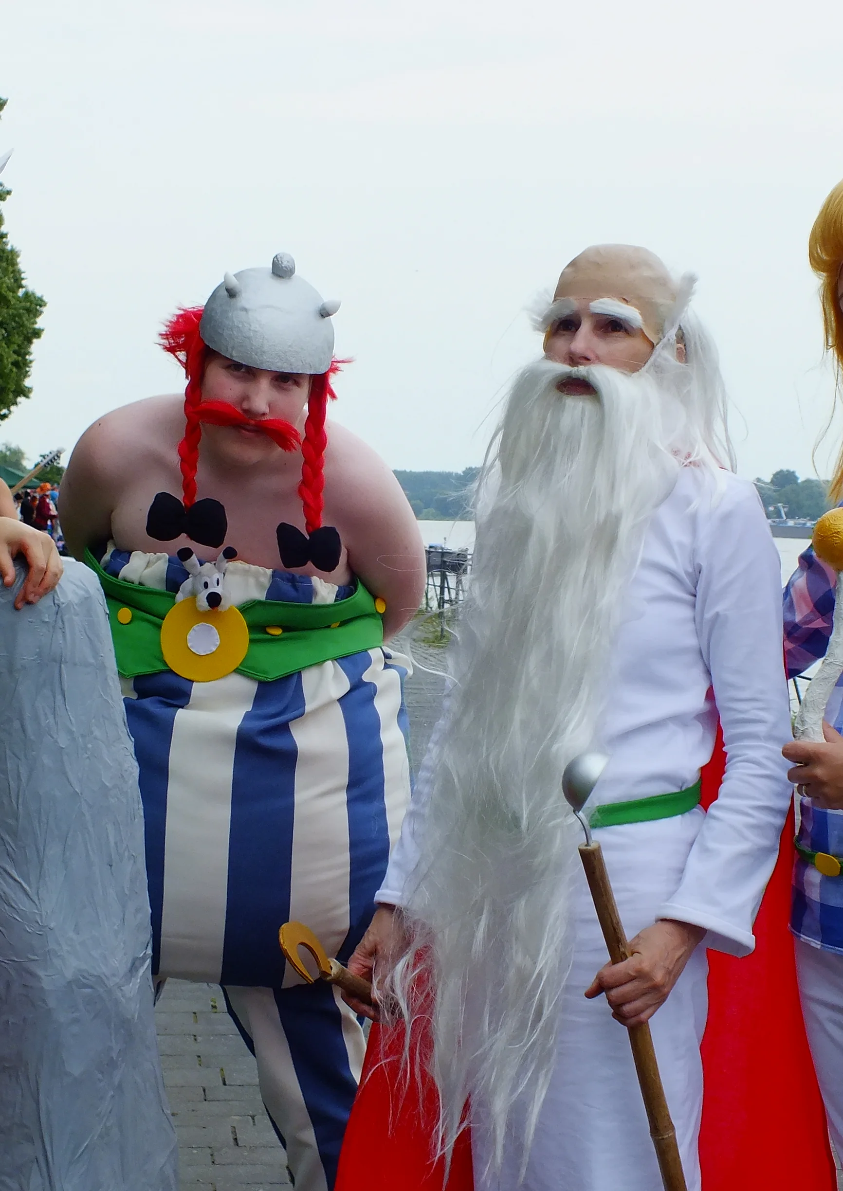 Cosplay-Cover: Miraculix