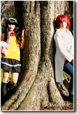 Top-3-Foto - von Mel-chan