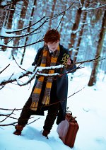 Cosplay-Cover: Newt Scamander