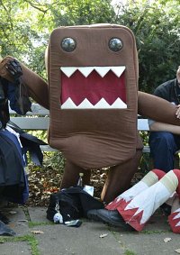 Cosplay-Cover: Domo