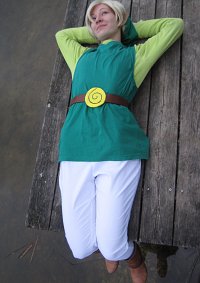 Cosplay-Cover: Toon Link (4 Swords)