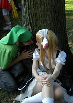 Cosplay-Cover: Link