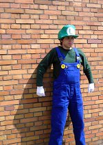 Cosplay-Cover: Luigi