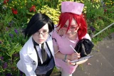Top-3-Foto - von waka42