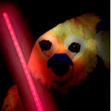Top-3-Foto - von Dummer_Fuchs