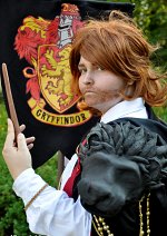 Cosplay-Cover: Godric Gryffindor