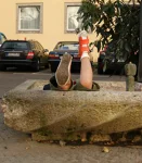 Foto des Kostüms