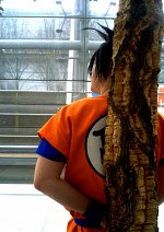 Cosplay-Cover: Son Goku