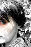 Top-3-Foto - von Joshua_