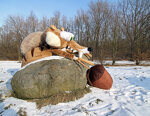 Cosplay-Cover: Scrat (Ice Age)