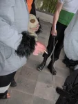 Foto des Kostüms