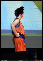 Cosplay-Cover: Son Goku [Ikimasho Stage]