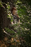 Top-3-Foto - von Nelaine