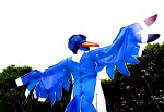 Cosplay-Cover: Zazu (The Lion King)