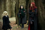 Top-3-Foto - von kyalayah