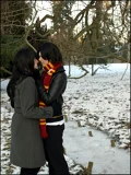 Top-3-Foto - von Padfoot