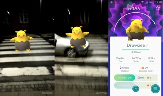 Pokémon von PKW überfahren